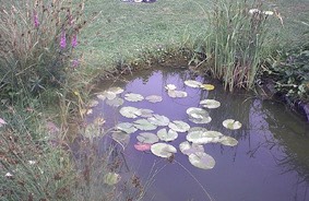 etang03