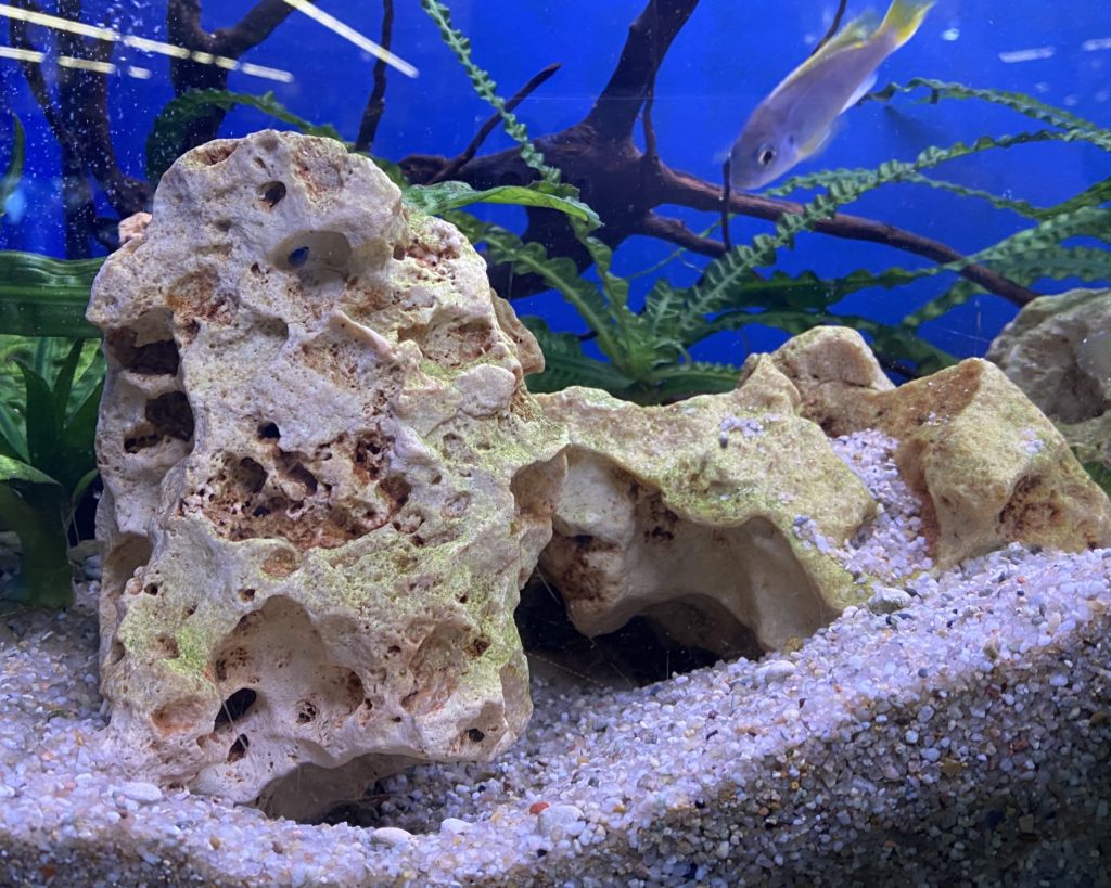 Pierres et roches naturelles pour aquarium