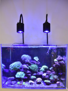 Lampe Aquarium Neon Aquarium Eclairage Aquarium LED Spot ÉClairage